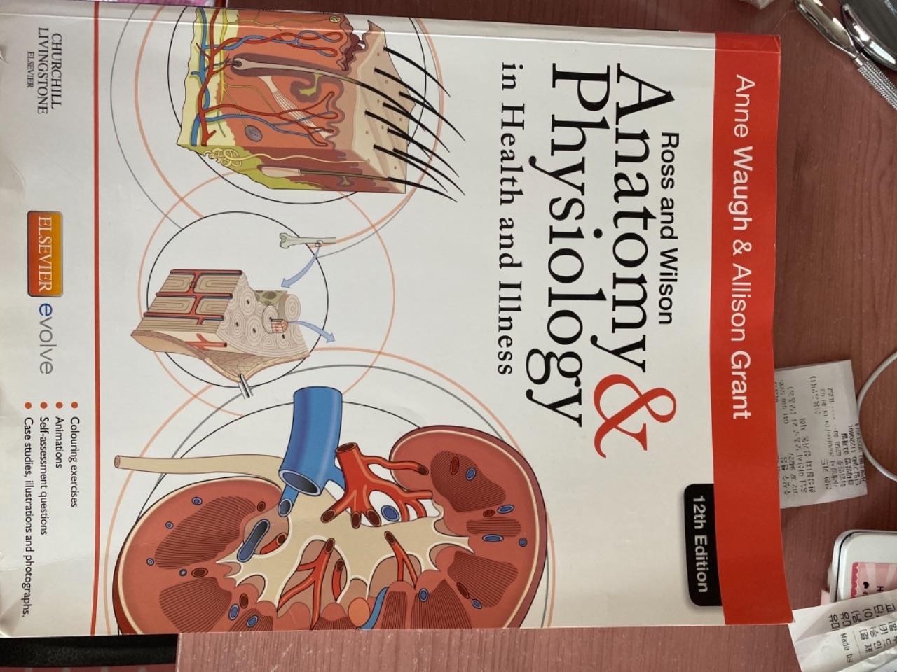 Ross Et Wilson Anatomie Et Physiologie Normales Et Pathologiques